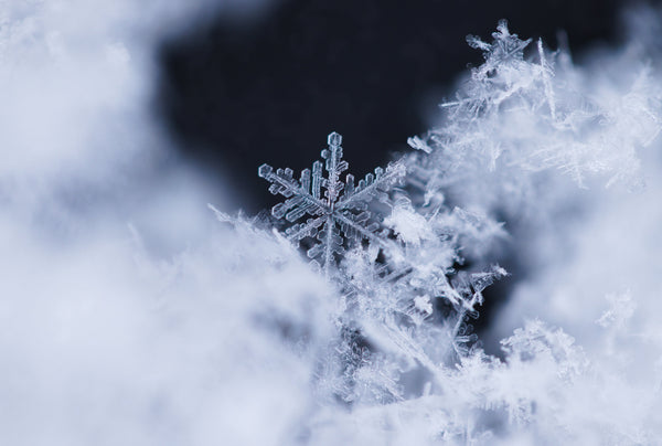 How to Make Better Snow: Temperature, Humidity & Wet-Bulb